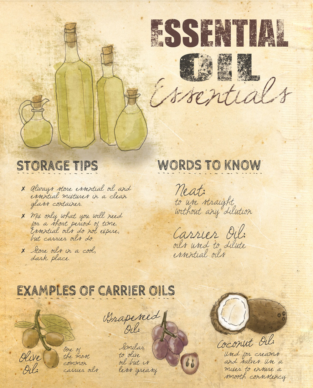 Essential Oil Basics: Storage Tips Infographic
