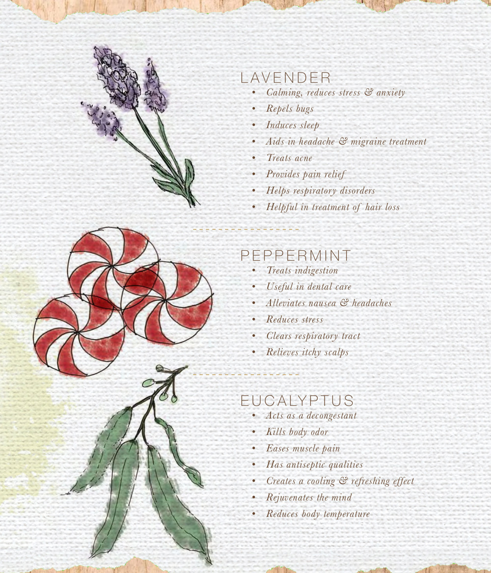 Essential Oil Basics: Benefits of Top 5 Oils Infographic