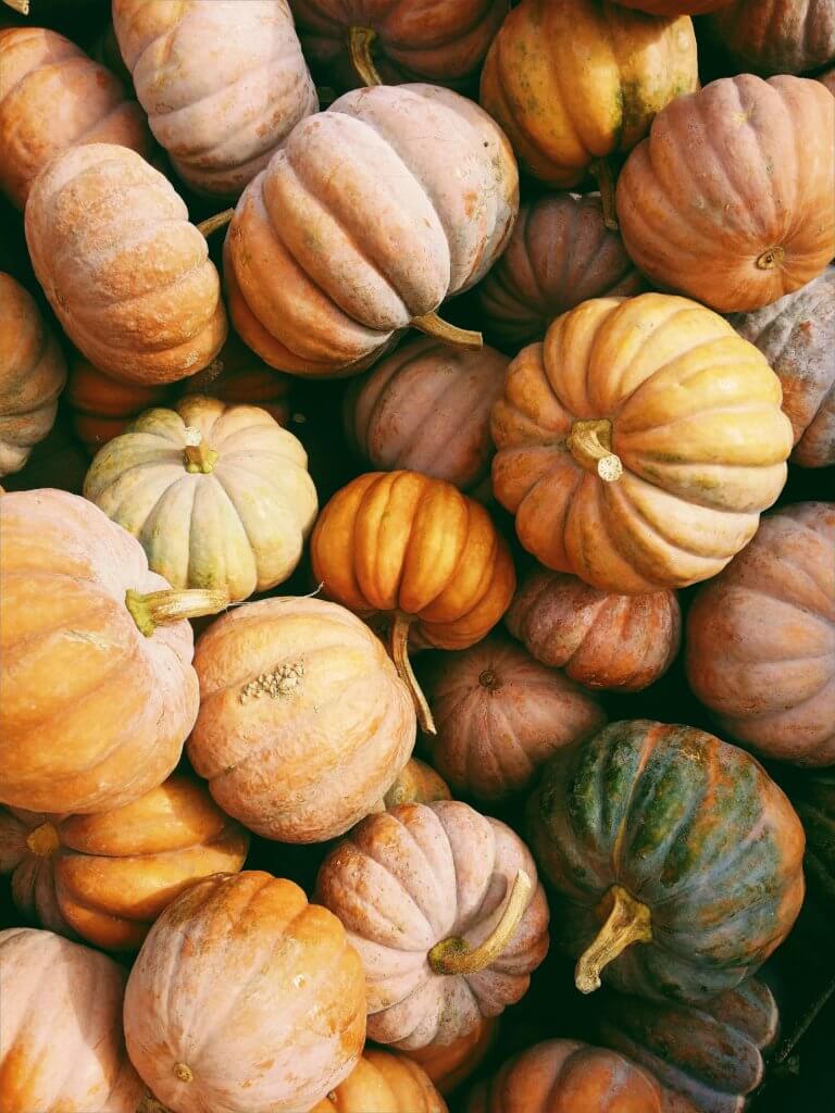 5 Pumpkin-Inspired Fall Recipes
