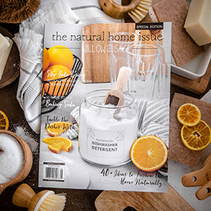 <a href="https://stampington.com/willow-and-sage-natural-home-issue/">Natural Home Issue</a>