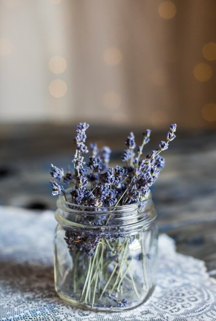 lavender skin care recipes
