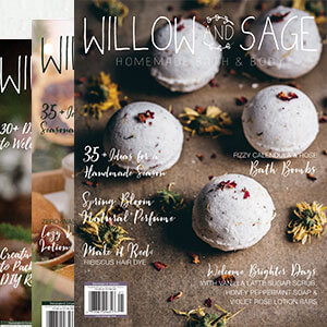 <a href="https://stampington.com/willow-and-sage">Did You Miss an Issue?</a>