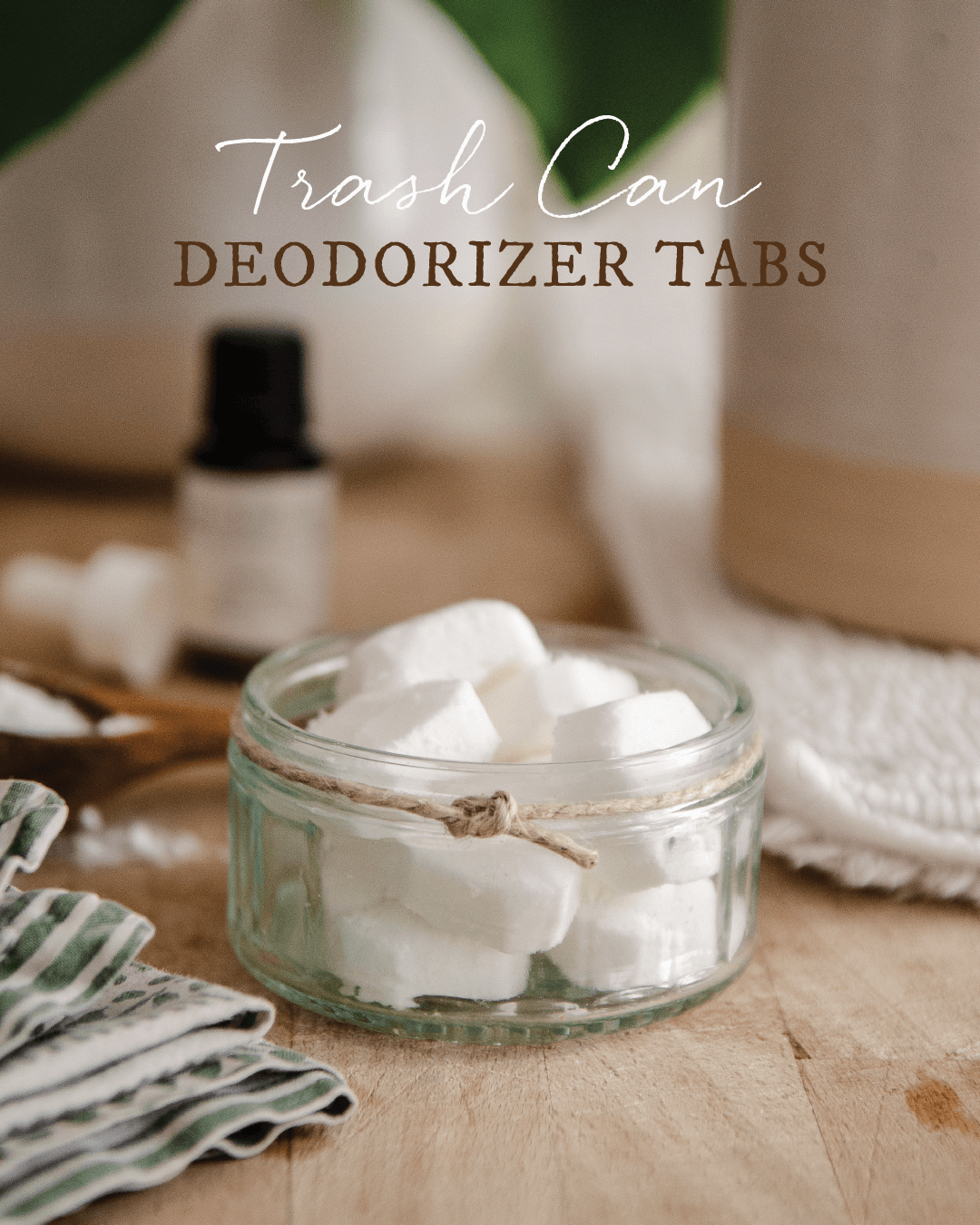 Homemade Deodorizer Tabs