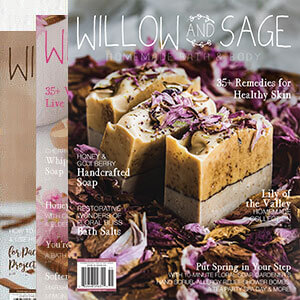 Willow and Sage Back Issues