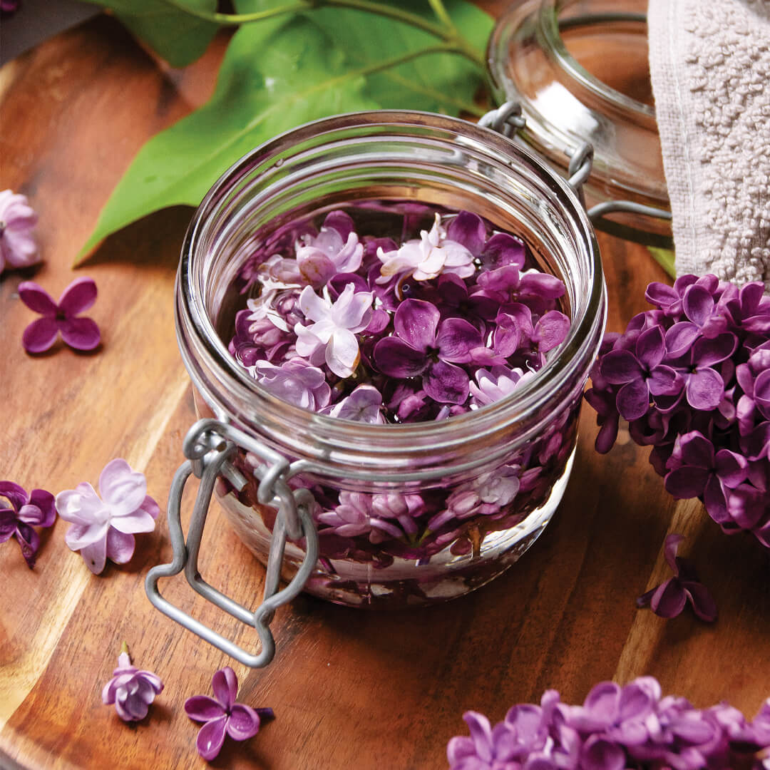 Lilac Bath and Body Recipes