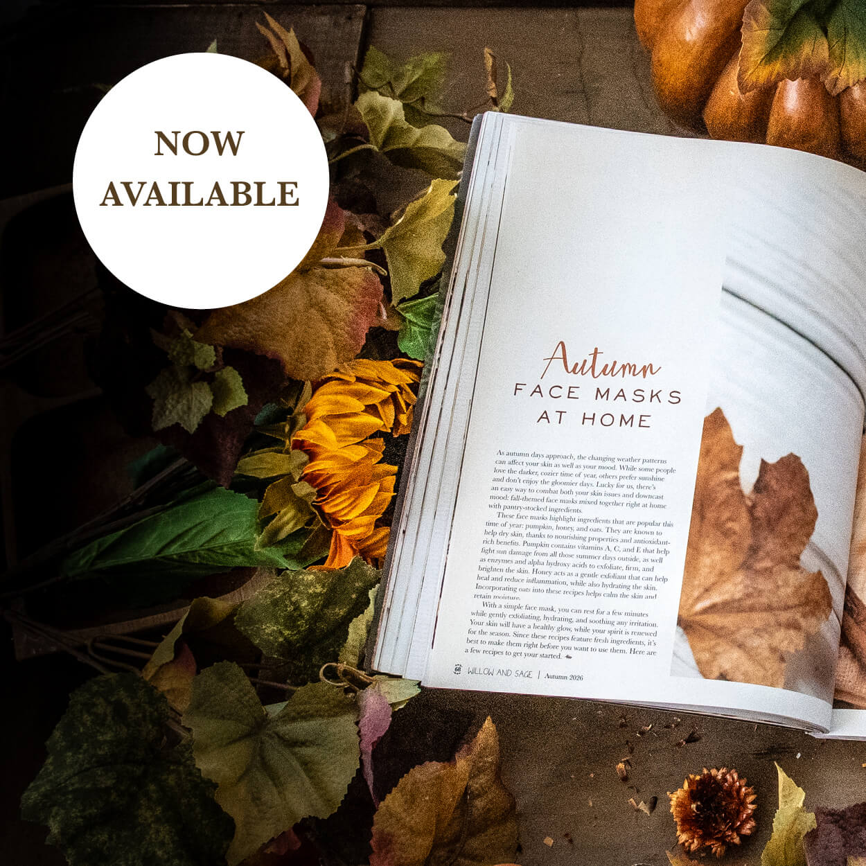 40+ Ways to Nourish Skin Daily