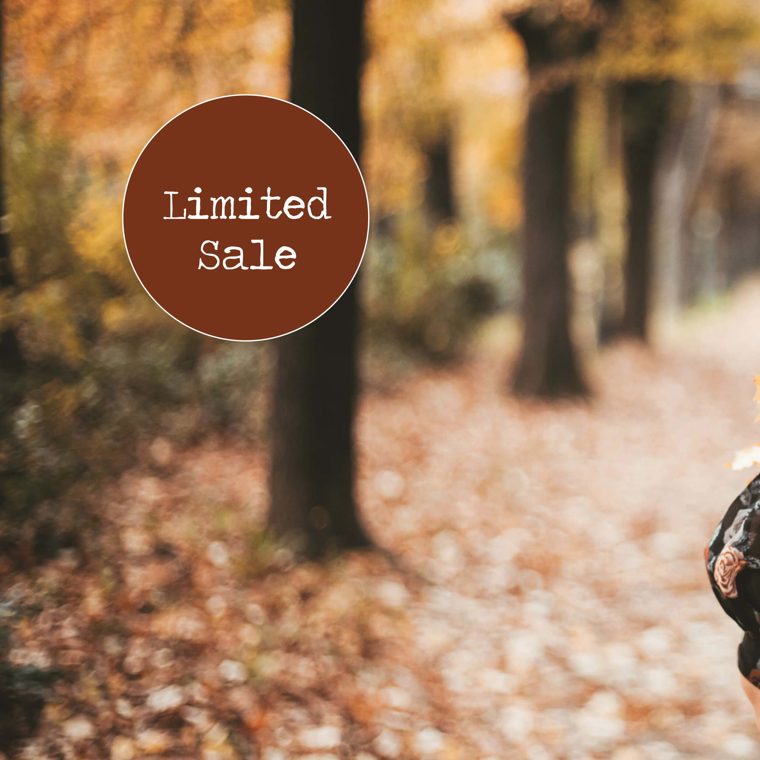 Fall Subscriptions Sale